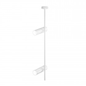 Ceiling Lamp C021CL-02W