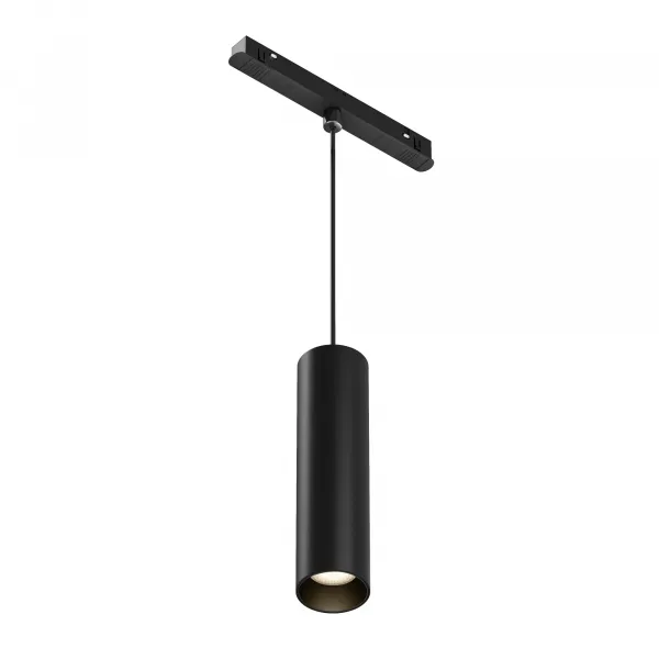 Pendant Track Lighting TR041-2-12W3K-B