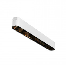 Track Lighting TR084-1-12W3K-W