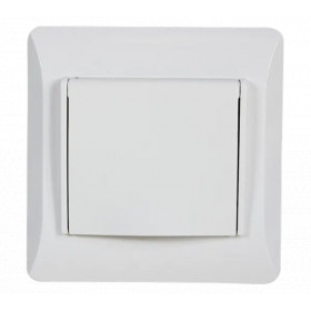 EL0629 PANEL WITH COVER PLATE FOR GERMAN TYPE SOCKET