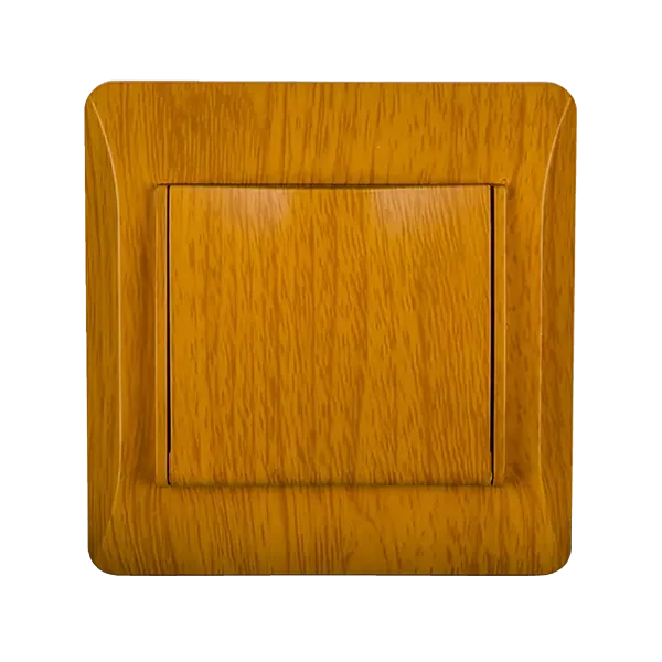 EL0629 PANEL WITH COVER PLATE FOR GERMAN TYPE SOCKET