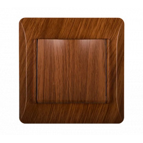 EL0629 PANEL WITH COVER PLATE FOR GERMAN TYPE SOCKET