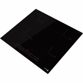 Induction Hot Plate Fagor