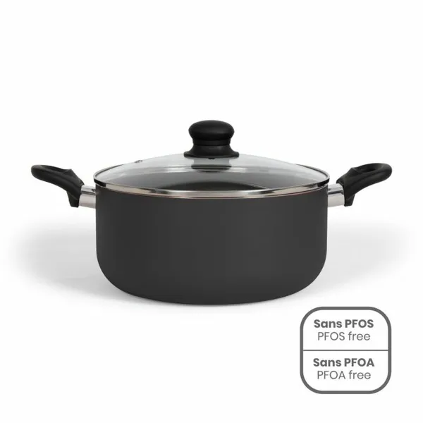 Кастрюля Livoo 24 x 11 x 39 cm Чёрный Ø 24 cm 4 L