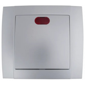 SR-2501 1 WAY SWITCH WITH LIGHT SILVER GREY