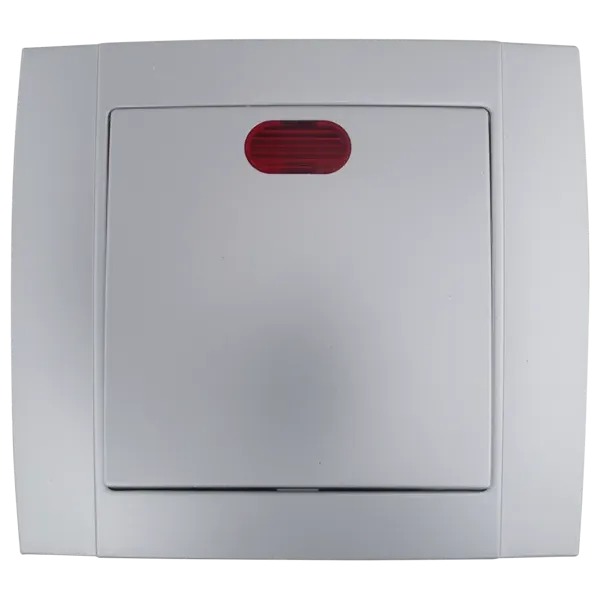 SR-2501 1 WAY SWITCH WITH LIGHT SILVER GREY