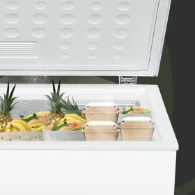 Freezer Aspes ACH2002EDC