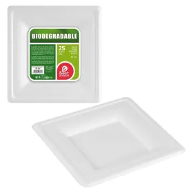 LED FLOODLIGHT WITH STAND AND PLUG 30W 5500K