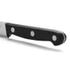 Smulkinimo peilis Arcos serie universal Nerūdijantis plienas Plastmasinis 10 cm