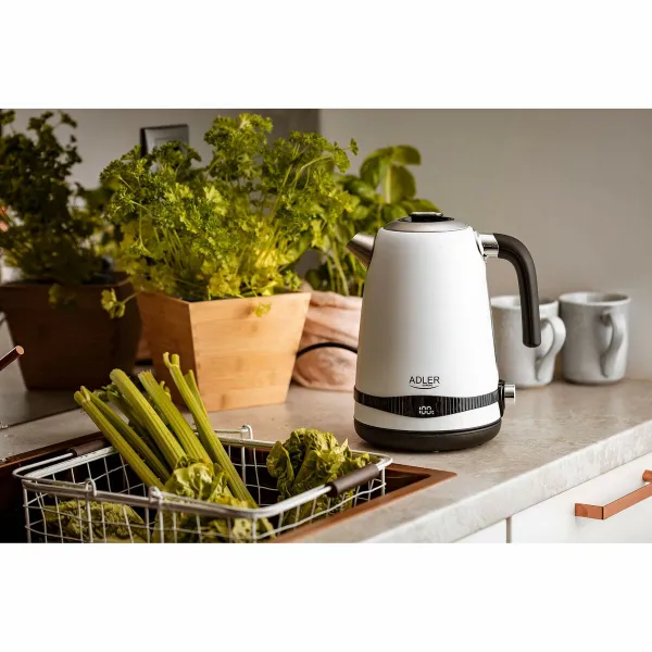 Virdulys Adler Balta Nerūdijantis plienas 2200 W 1,7 L