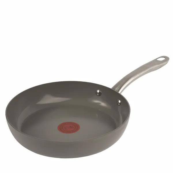 Pan Tefal C4240443 Silver Ceramic Ø 24 cm