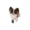 Туфли Trixie Walker Care Comfort Чёрный M
