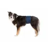 Incontinence Protector Trixie Male Plug Abdomen