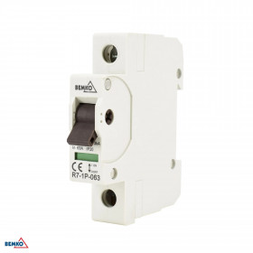 SWITCH DISCONNECTOR 1P 63A