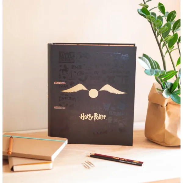 Harry Potter - A4 binder (2 rings, elastic)