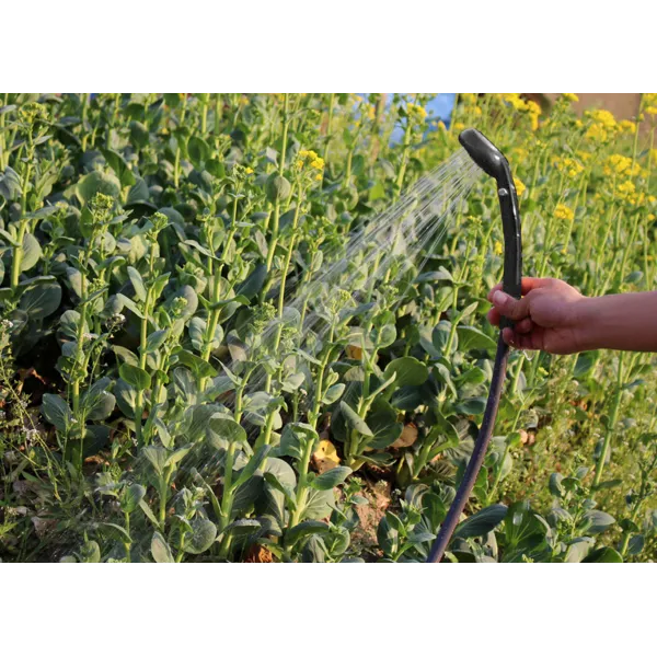 Portable camping shower