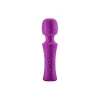 Vibrator FemmeFunn Purple