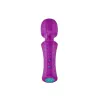 Vibrator FemmeFunn Purple