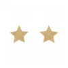 Flash Star Gold Bijoux Indiscrets 135