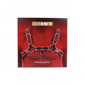 New Comers Strap Virgite MOD. 1