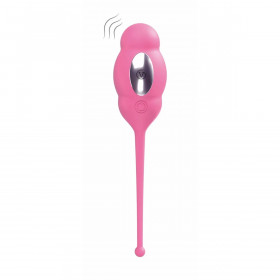 Egg Vibrator Virgite