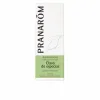 Essential oil Pranarôm   Clove 10 ml