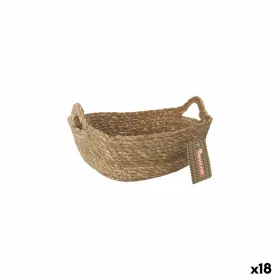 Uzglabāšanas Kaste Privilege pīts 20 x 15 x 7 cm (18 gb.)