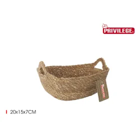 Uzglabāšanas Kaste Privilege pīts 20 x 15 x 7 cm (18 gb.)