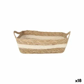 Uzglabāšanas Kaste Privilege pīts 20 x 15 x 7 cm (18 gb.)