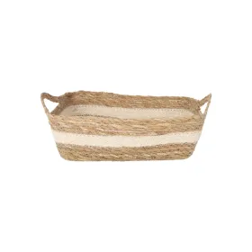 Uzglabāšanas Kaste Privilege pīts 20 x 15 x 7 cm (18 gb.)