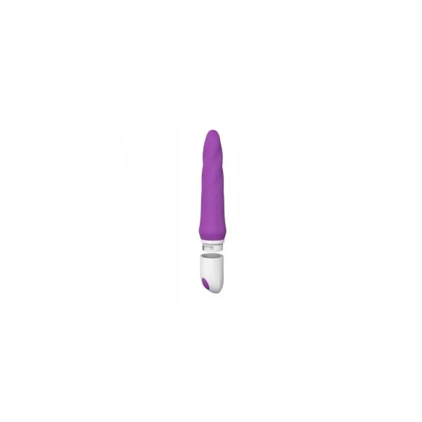 G-Spot Vibrator Toyz4lovers Purple Silicone