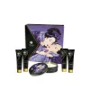 Pleasure Kit Shunga SECRET GEISHA EXOTIC FRUITS