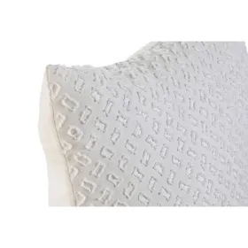 Sincerely Locking Lace collar with lead Sportsheets