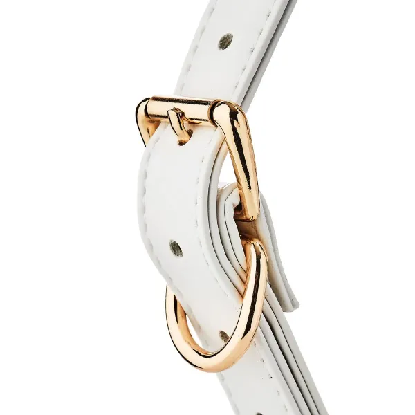 Solid Ball Gag Dream Toys Blaze