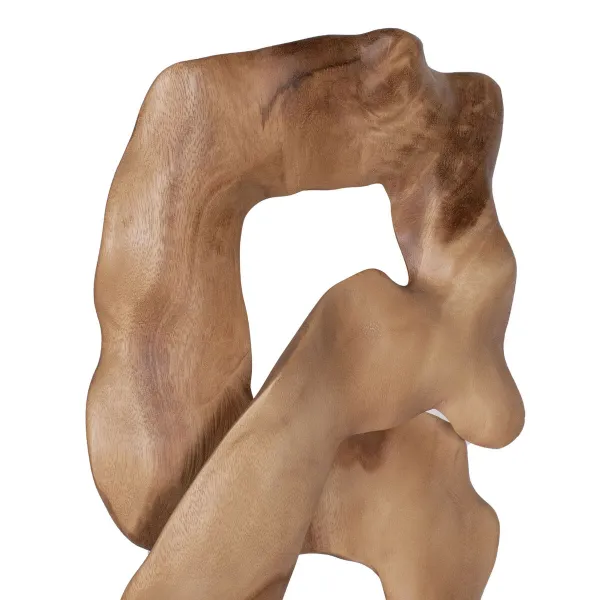 Penis cover Dream Toys Ramrod Ø 3 cm
