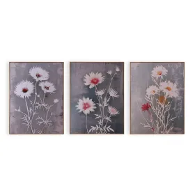 Thong René Rofé