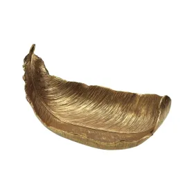 Thong René Rofé