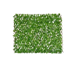 Dressing Gown René Rofé Black S/M