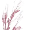 Branch Krist+ Pink 46 x 80 x 5 cm (12 Units)