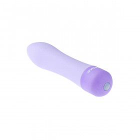 Bullet Vibrator Evolved Purple
