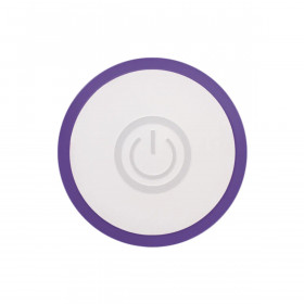 Mini-Vibrator Evolved Slim Purple