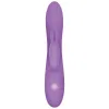 G-Spot Vibrator Evolved Rabbit Purple