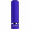 Mini-Vibrator Evolved Petite Purple
