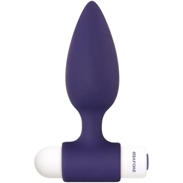 Anal plug Evolved Dynamic Duo Purple