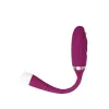 Bullet Vibrator Adam & Eve Purple