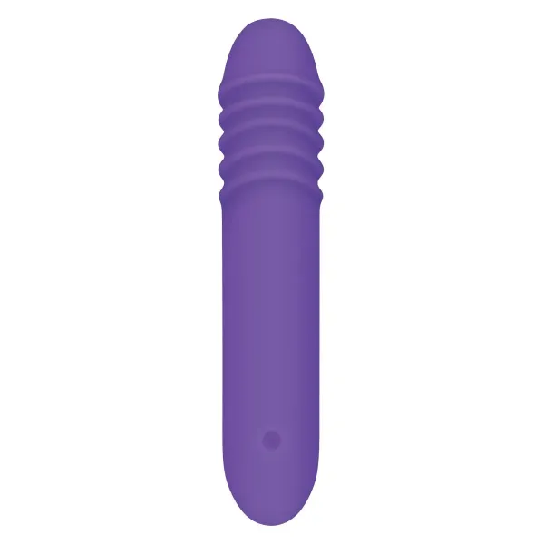 G-Spot Vibrator Evolved Purple
