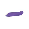 G-Spot Vibrator Evolved Purple