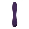 Vibrator Evolved Purple