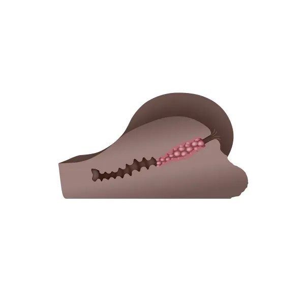 Endurance Jack Ass Gender X Brown