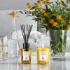 Gaisa Atsvaidzinātājs Acqua Di Parma INSIEME 180 ml